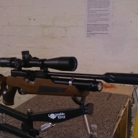 Custom HW100 Carbine