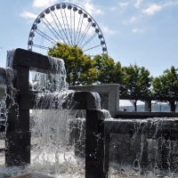 Water and Wheel Seattle
