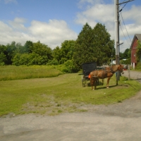 Amish buggy
