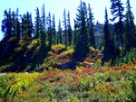 Heather Meadows in the Fall
