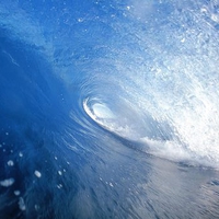 The surfers Paradise