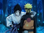 Naruto & Sasuke