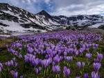 Rila National Park Bulgaria