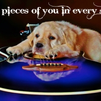 I find pieces of you in every song