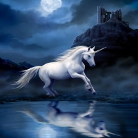 Unicorn at night