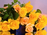 Yellow rose