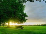 Peaceful bench