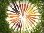Rainbow carrots