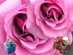Rosas