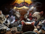 Cats playing poker