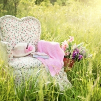 Lovely Summer â™¥