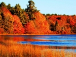 Autumn Lake
