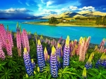 Lake Tekapo