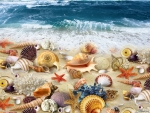 ~*~Treasures of the sea~*~