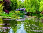 Monet's Water Garden