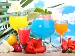 Tropical Drinks