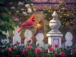 Cardinals in Garden