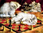 Les Chats Al Echiquier - Cats F1Cmp