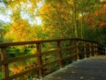 wonderful wooden bridge in fall hdr