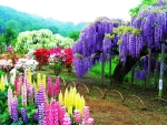 Japanese Flower Garden