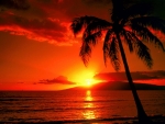 Tropical Sunset