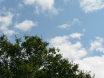 summer sky 2