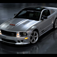 SMS Twenty Fifth Anniversary Mustang