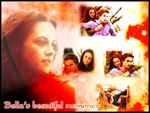 Bella's beautiful Memories.