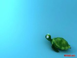 Cute Turtle