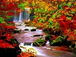 Autumn river