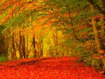 Autumn tree background