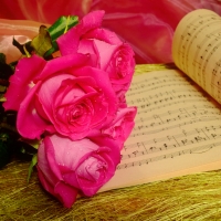 Roses and music