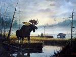 Moose Country