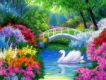 Spring Swan