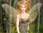 Beautiful Fairy