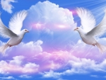 ~*~ Doves Peace ~*~