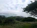 Sea mist on Tennyson Down