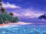 Tropical Dolphin