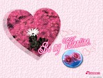 Be My Valentine