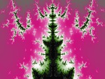Fractal Evergreens