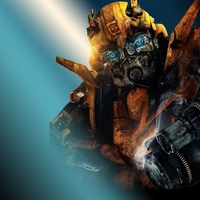 Transformer Bumble bee