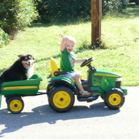 friends on a mission