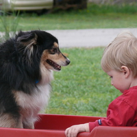 looking after my best friend