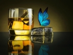 Butterfly ~ Drink