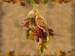 *Autumnal doves*