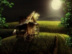 *Little wood house in the moonlight*