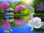Spring Swan