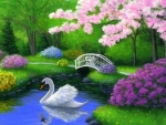 Swan in Garden