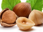 Hazelnuts