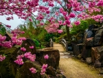 Japanese Spring Garden